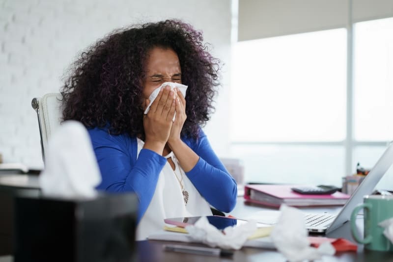 pets and hay fever