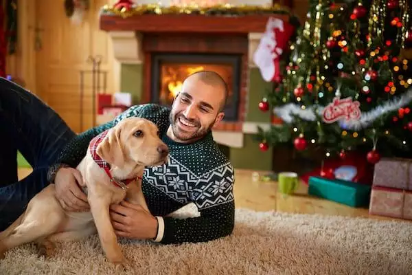 Best christmas dog names