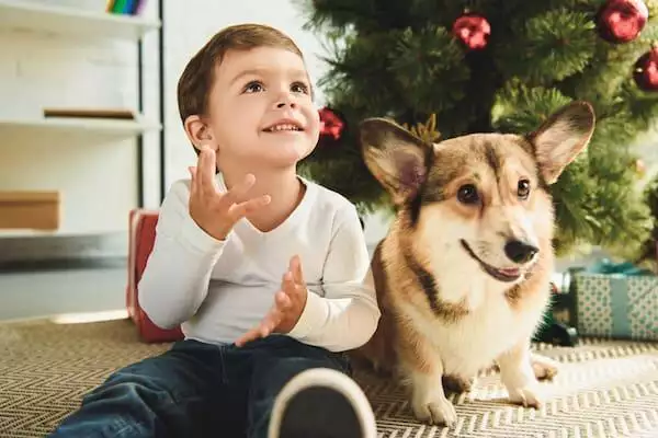Christmas themed pet names