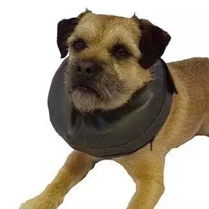 Comfy-Collar-Anti-ScratchLickBite