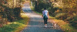 Germany Dog Walking Laws