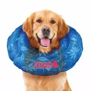 kong-dog-collar