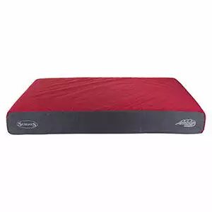 Scruffs-Orthopaedic-Dog-Bed