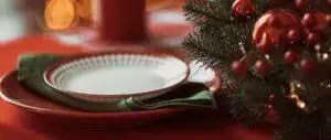 What Not To Give Dog At Christmas