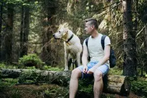 Win Free Dog Staycation Uk